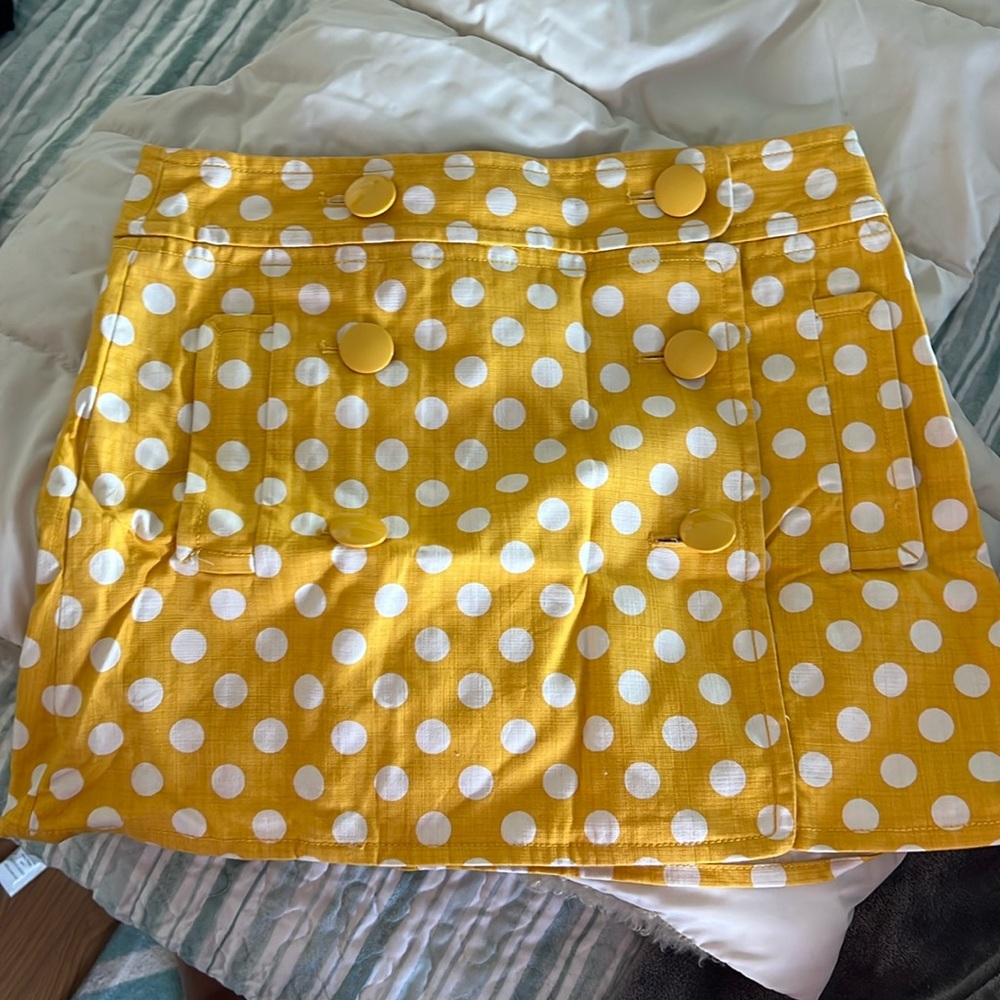 ✨💥rare gem jcrew NwOT size 4 skirt✨
